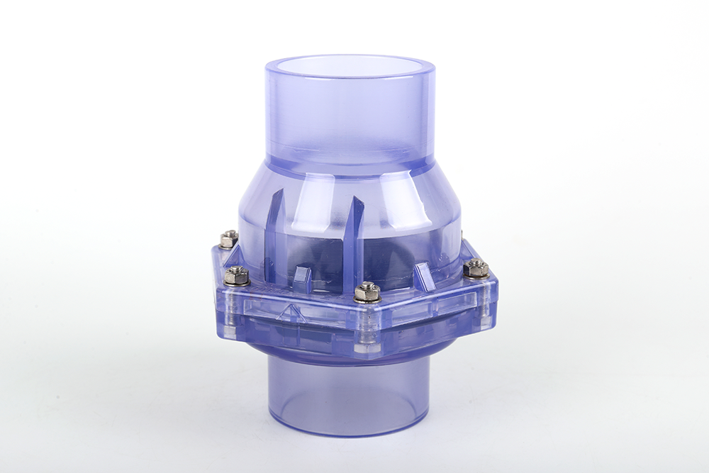 团风透明翻板式止回阀